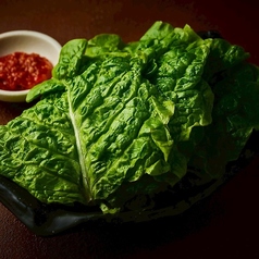 チシャ菜