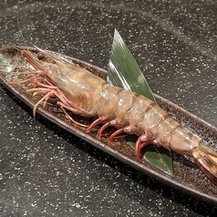 大海老の串焼き (1尾)