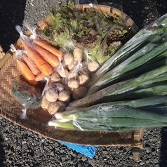 食べ処・呑み処　畑のごちそうのおすすめポイント1