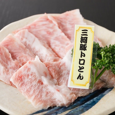 炭火焼肉 トロとん亭のおすすめ料理1