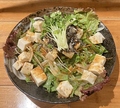 料理メニュー写真 豆富サラダ