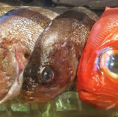 居酒屋はせ川 岡崎本店のコース写真