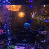 PAIKAJI TERRACE パイカジ テラスの雰囲気3