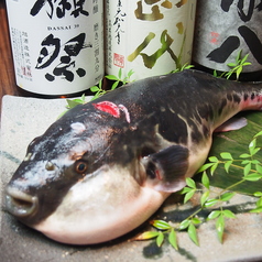 銀しゃりDining 灯戸 あかりどのコース写真