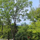 天気がいい日は名古屋城が綺麗に見えます☆お散歩の休憩にぜひ当店にお立ち寄りください♪