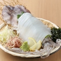 料理メニュー写真&nbsp;朝〆イカの姿造り
