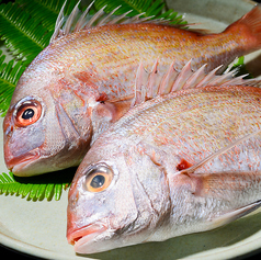 酒家 魚肉菜 虹晴れのおすすめポイント1