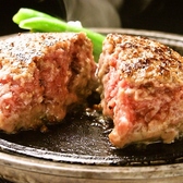 とろけるハンバーグ 福よし 海老名店の詳細