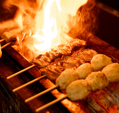 【炭火堪能コース】焼き鳥5本、串焼き2本を存分に楽しむ◆仕入れに合わせてご用意