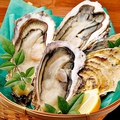 料理メニュー写真 三陸産の大きな「牡蠣」(生or焼き)一個