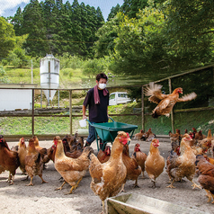 塚田農場 川崎たちばな通り店 宮崎県日南市の特集写真