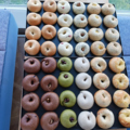 Gentle　Bagelのおすすめ料理1