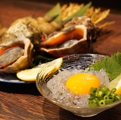 【篠島産釜揚げしらすを使用】フワフワのしらすを堪能できる♪しらすおろし 680円(税込)の写真
