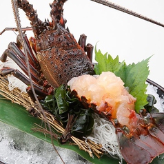 熟成魚と全国の日本酒 魚浜 さかな 柏のコース写真
