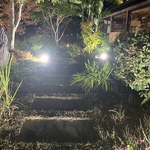 焼肉店とは思えない、洗礼された外観です◎