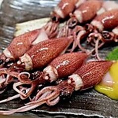 ほたるいかのぬた