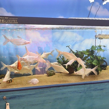 CAFE&居酒屋レストランちゅらの雰囲気1