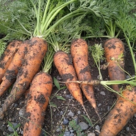 自社栽培・農薬不使用の新鮮・安全なお野菜を使用