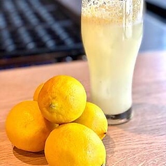 圧倒的なフレッシュ感！自家製たこ焼きのお供に欠かせない【丸ごと絞ったレモンサワー】の写真