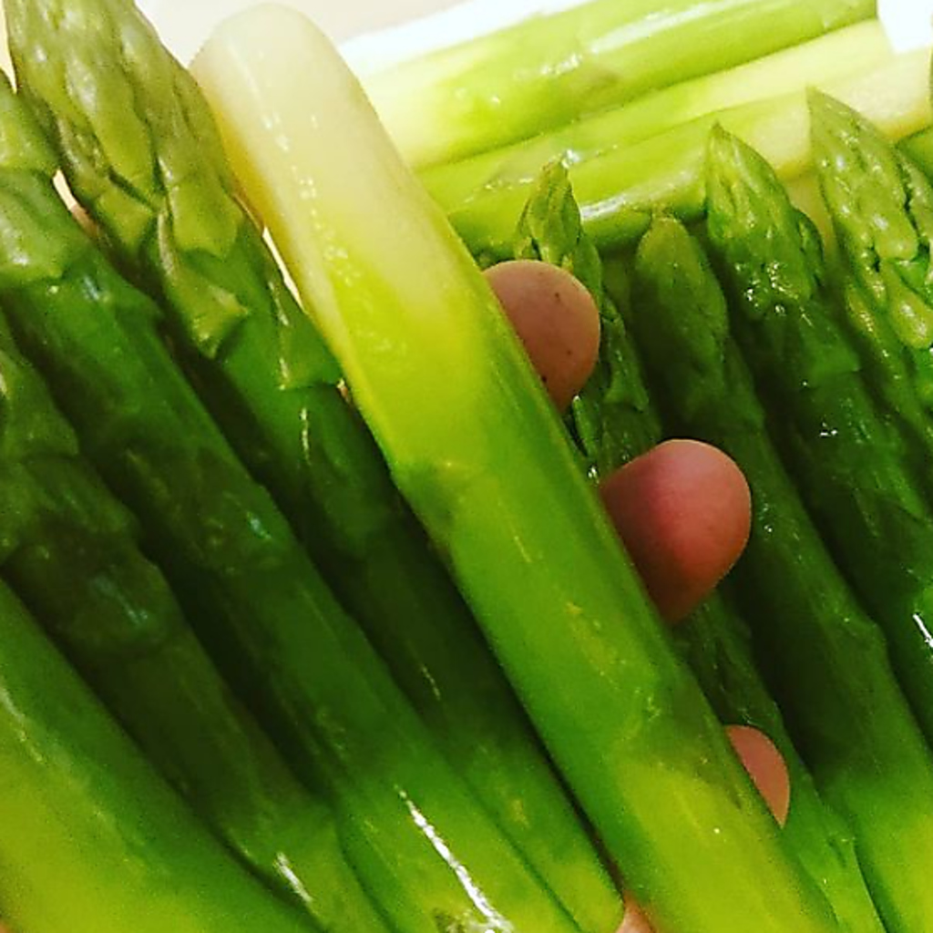 魚だけでなく野菜も新鮮！地元の素材を活かした旬の料理をリーズナブルに◎安心して楽しめる居酒屋