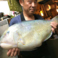 【釣り好きさん必見！】釣った魚の調理お任せください♪釣り仲間との一杯は路之家でいかがでしょうか♪オリジナルブレンドの泡盛や日本各地の地酒を豊富にご用意しています！