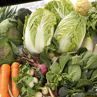 【野菜へのこだわり】全国各地の旬の新鮮な野菜