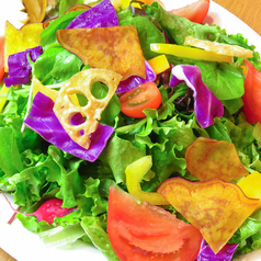 ◆本日の野菜ソムリエサラダ