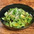 料理メニュー写真&nbsp;フレッシュグリーンサラダ
