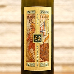 イ・ペントリフローラファランギーナ