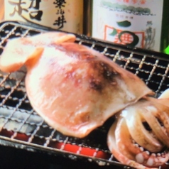【全国厳選取り寄せ】一夜干し スルメイカ
