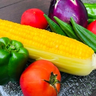 その日仕入れた食材を提供