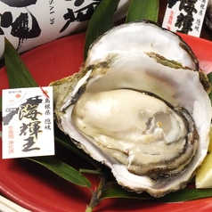 海幸丸百番の特集写真