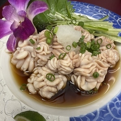 金ぎょの特集写真