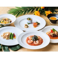 選べるランチコース