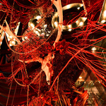 今年のテンキャンの顔はこちらこちら♪毎年変わるアートもお楽しみください☆