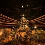 「ナチュラル×幻想。五感ががときめく夜」