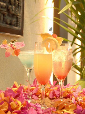 恵比寿 トミーガーデン Tommygarden 恵比寿 ダイニングバー バル ホットペッパーグルメ