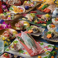 博多炉端 野が海特集写真1