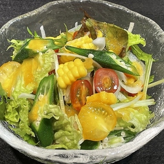 夏の彩サラダ