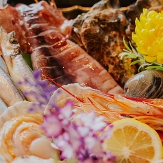 地酒と魚 清水海鮮市場のコース写真