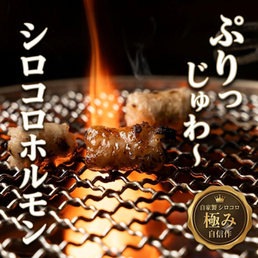 ホルモン焼き どら壱 八王子のおすすめ料理1