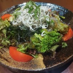 閖上しらすたっぷりサラダ