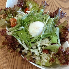 温玉シーザーサラダ