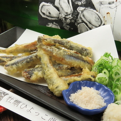 牡蠣ひよっこ商店の特集写真