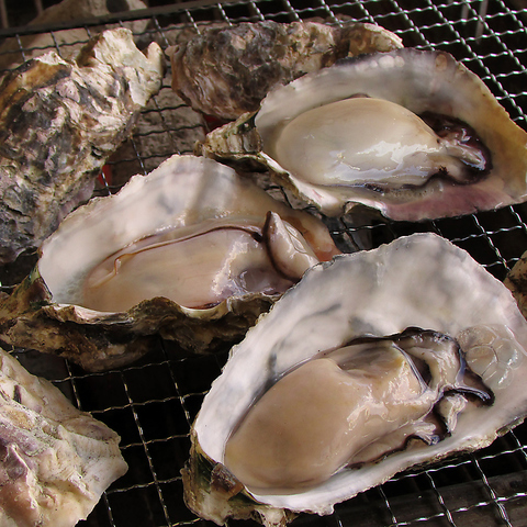 本場広島の牡蠣小屋の雰囲気で牡蠣を味わえるお店です☆