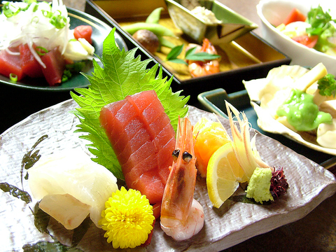 和食を極めた職人さんのいるお店。舞阪港で午前中に揚がった魚を、食べられます。