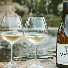 【白】ニュートン アンフィールド シャルドネ