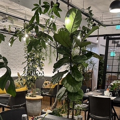 【ガーデンのような落ち着いた雰囲気】緑に囲まれた心地よい店内でヘルシーな料理を楽しめる、女子会にもぴったりな空間です★