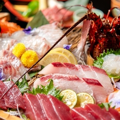 【豊洲市場直送の鮮魚】伊勢海老入り造りや特製あて巻き