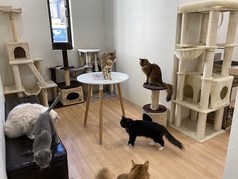 月と太陽のおすすめポイント1